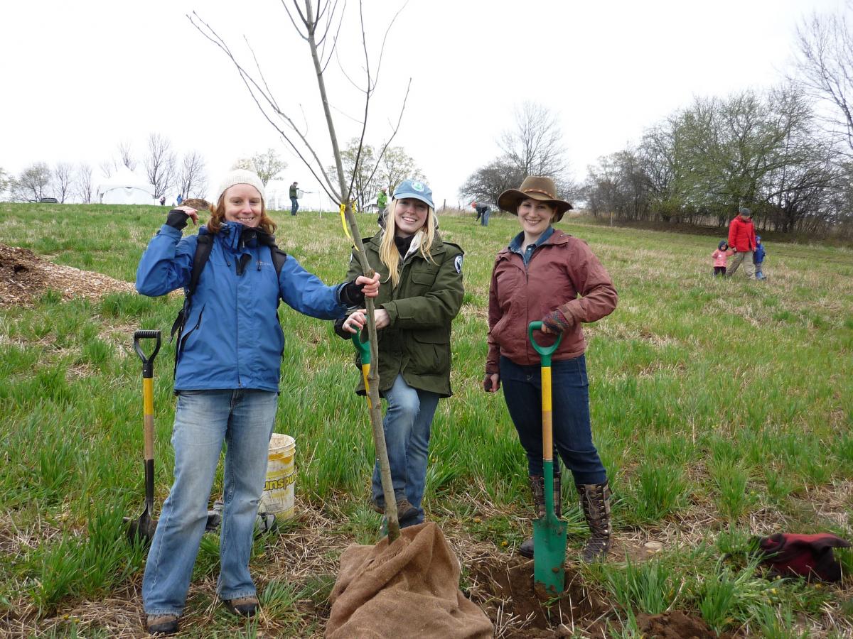 Picture of a three young women planting a tree