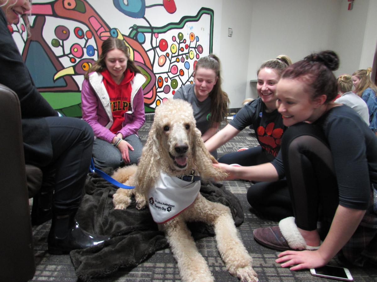 photo of students and dog