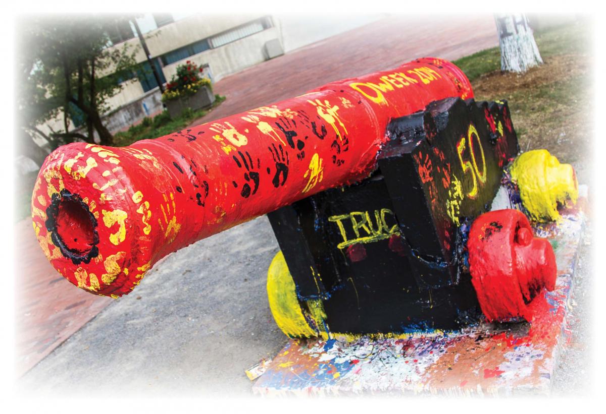 Picture of the cannon after it has been painted during Orientation Week 2014.